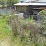 東区福田5丁目土地　現地