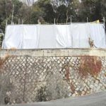 東区光が丘土地　現地