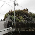 東区牛田東2丁目土地　現地