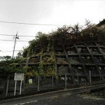 東区牛田東2丁目土地　現地