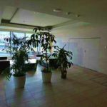 ルミナス舟入本町リバーフロント　エントランス21